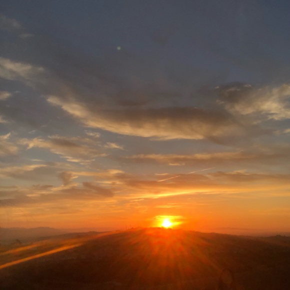 Meet your Posher, Lala - Picture 1 of 1